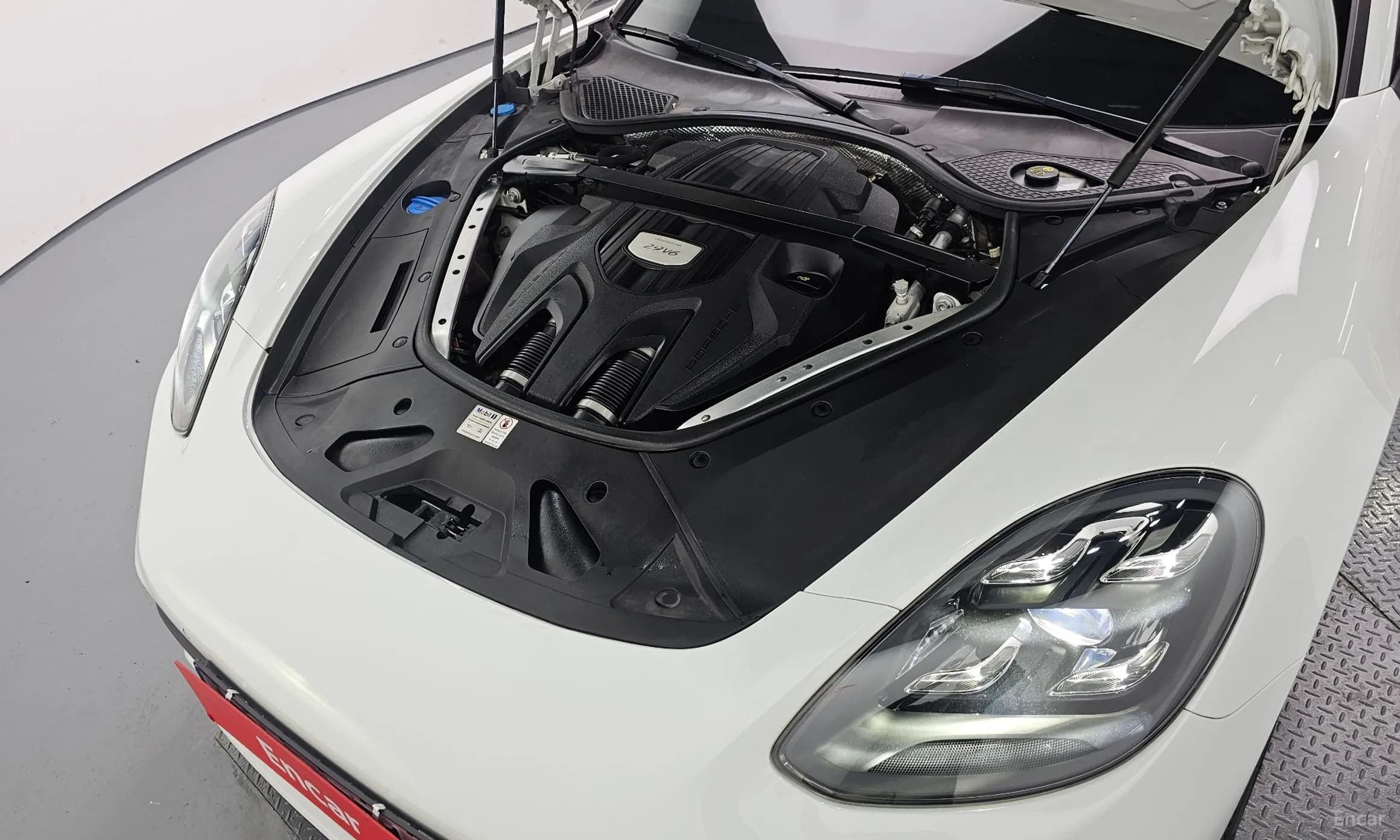 Panamera (971)