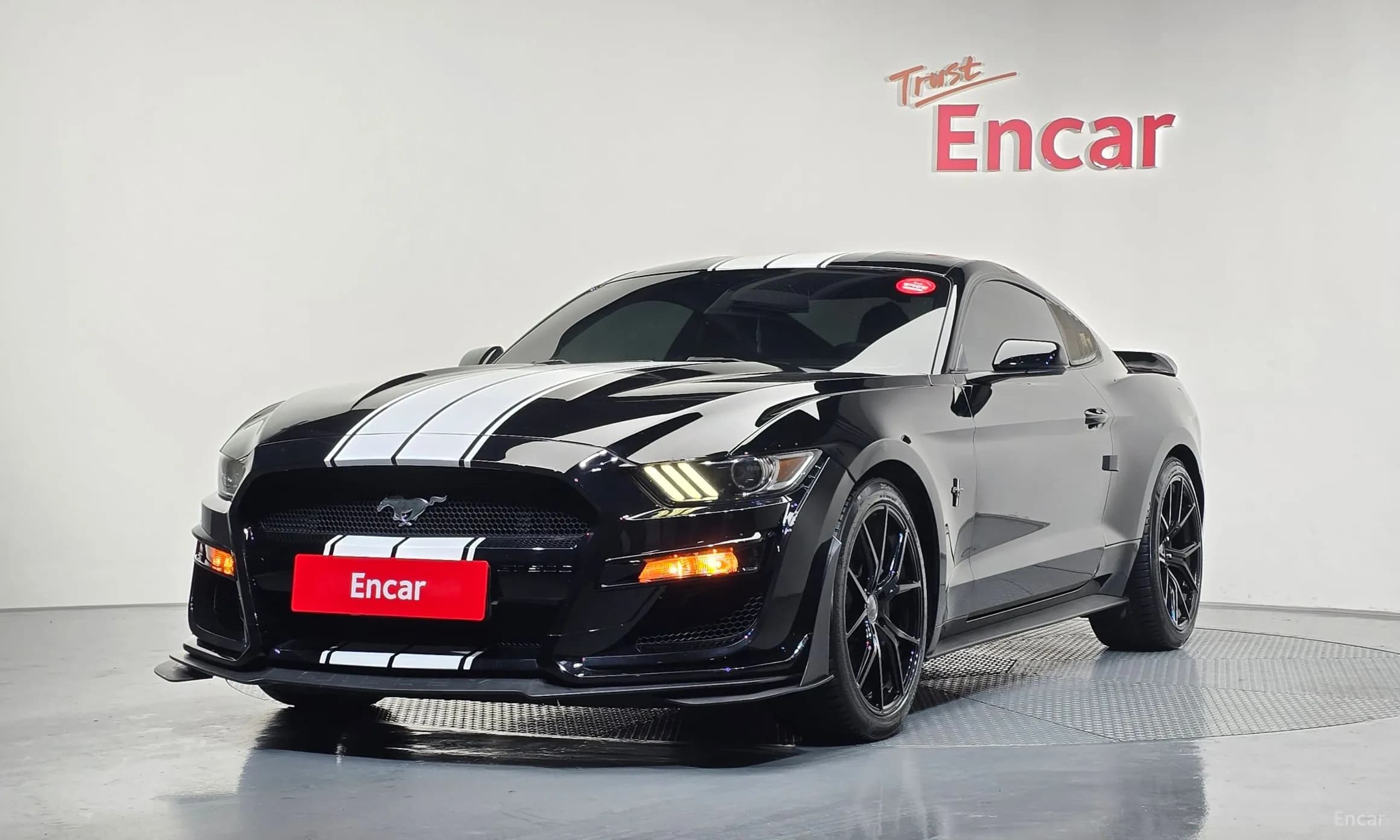 Mustang