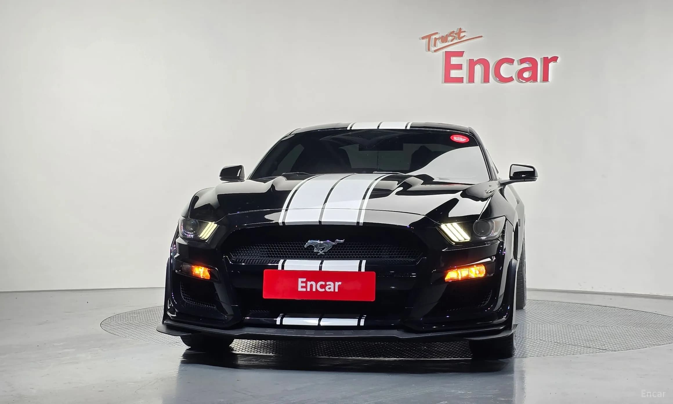 Mustang