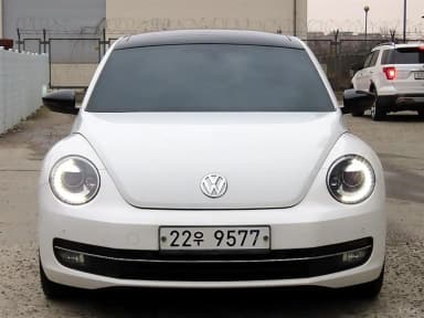 The Beetle