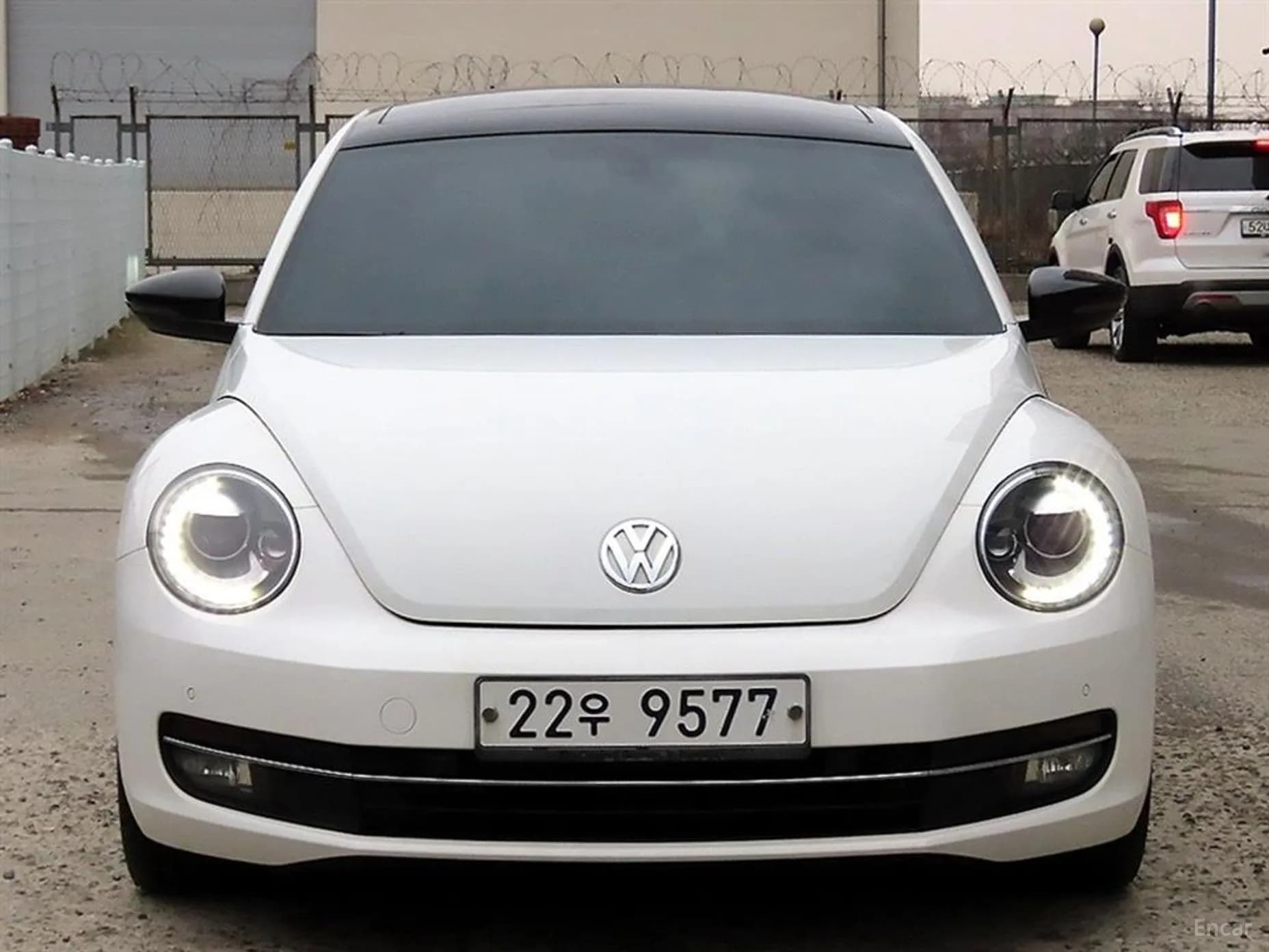 The Beetle