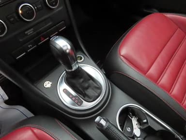 The Beetle