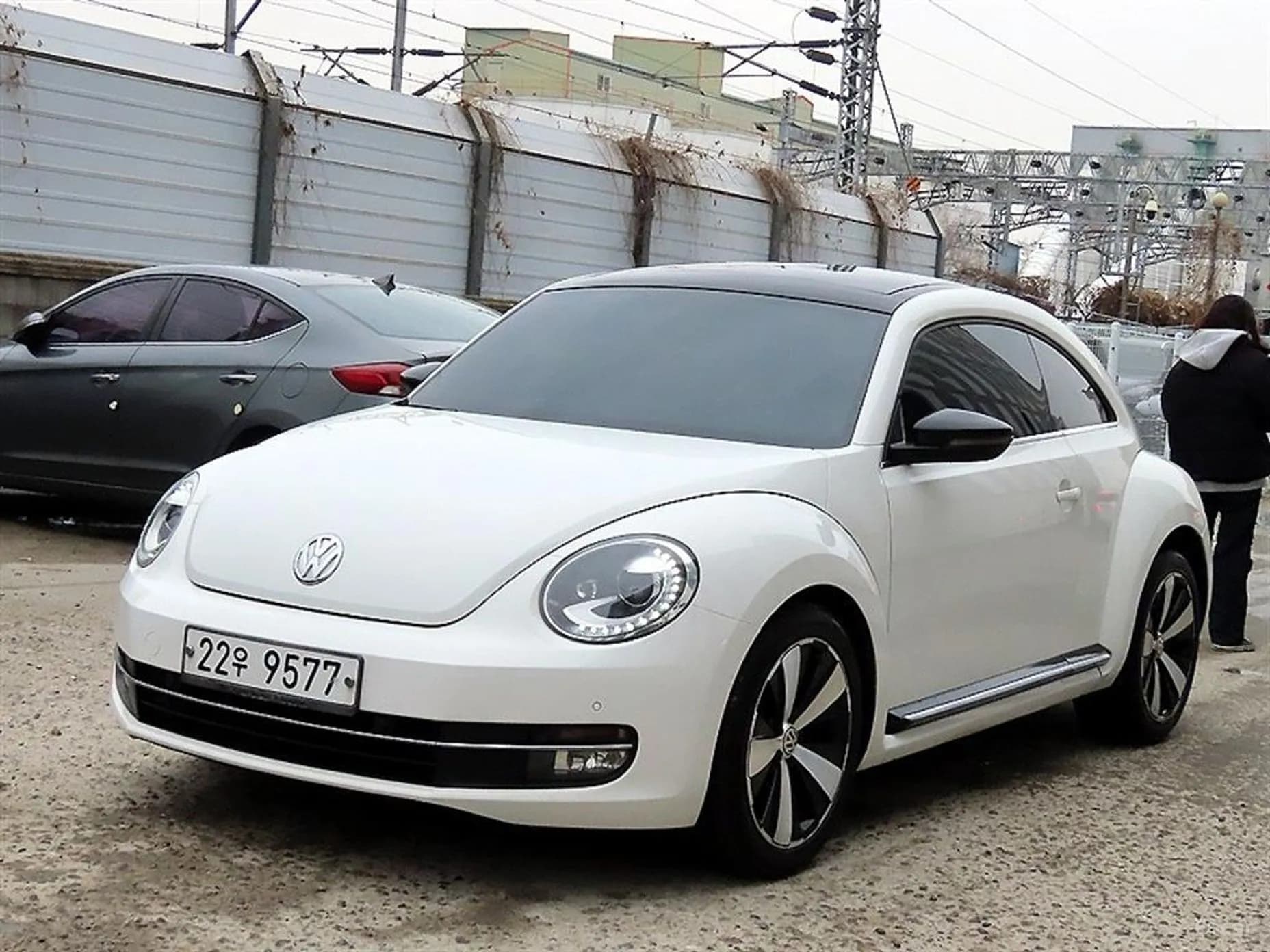 The Beetle