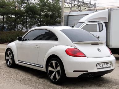 The Beetle