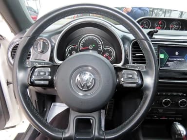 The Beetle