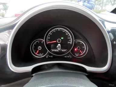 The Beetle