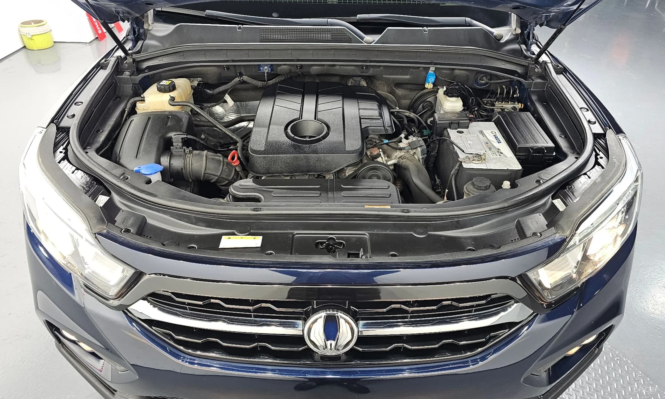 Rexton Sports