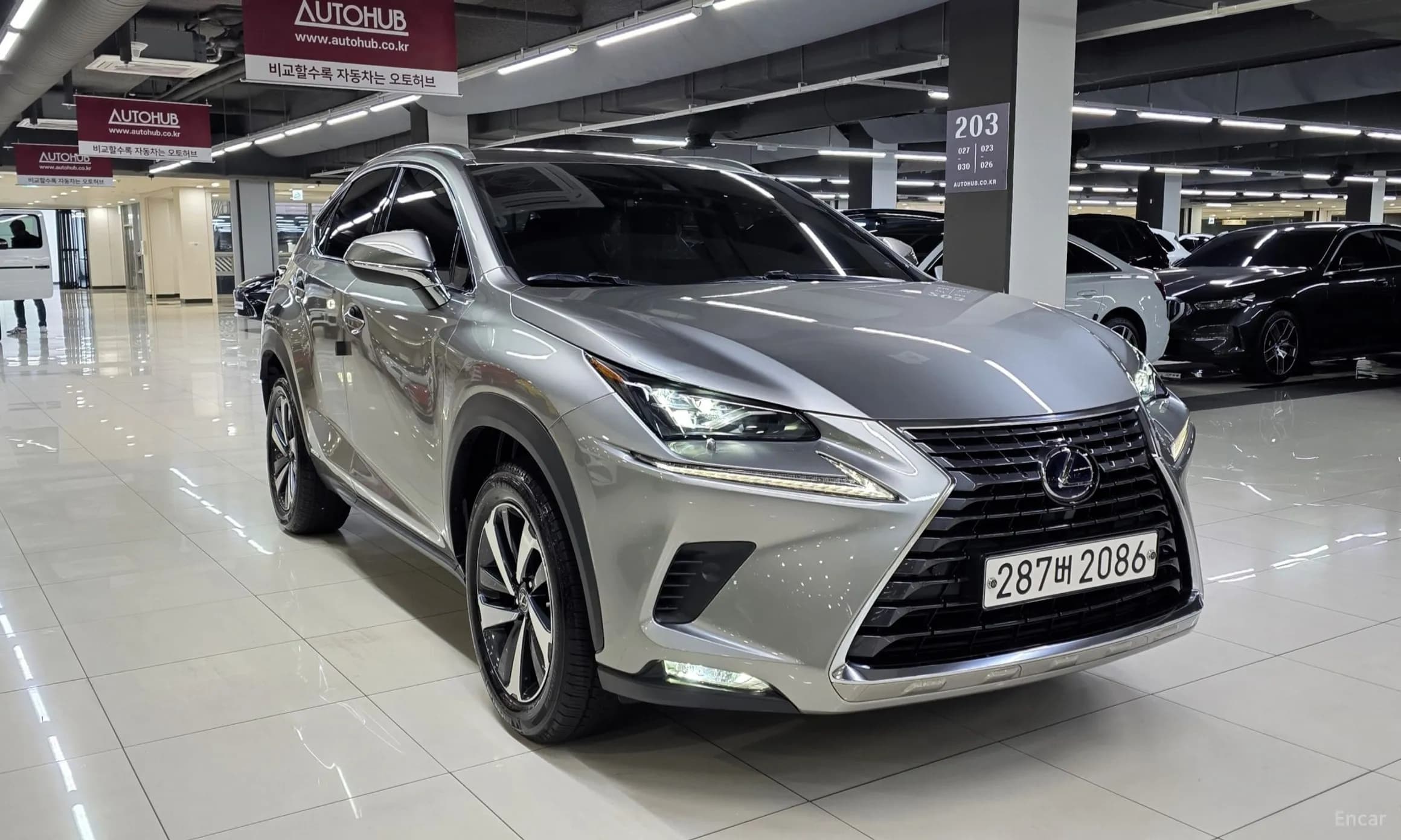 NX300h