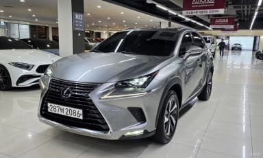 NX300h