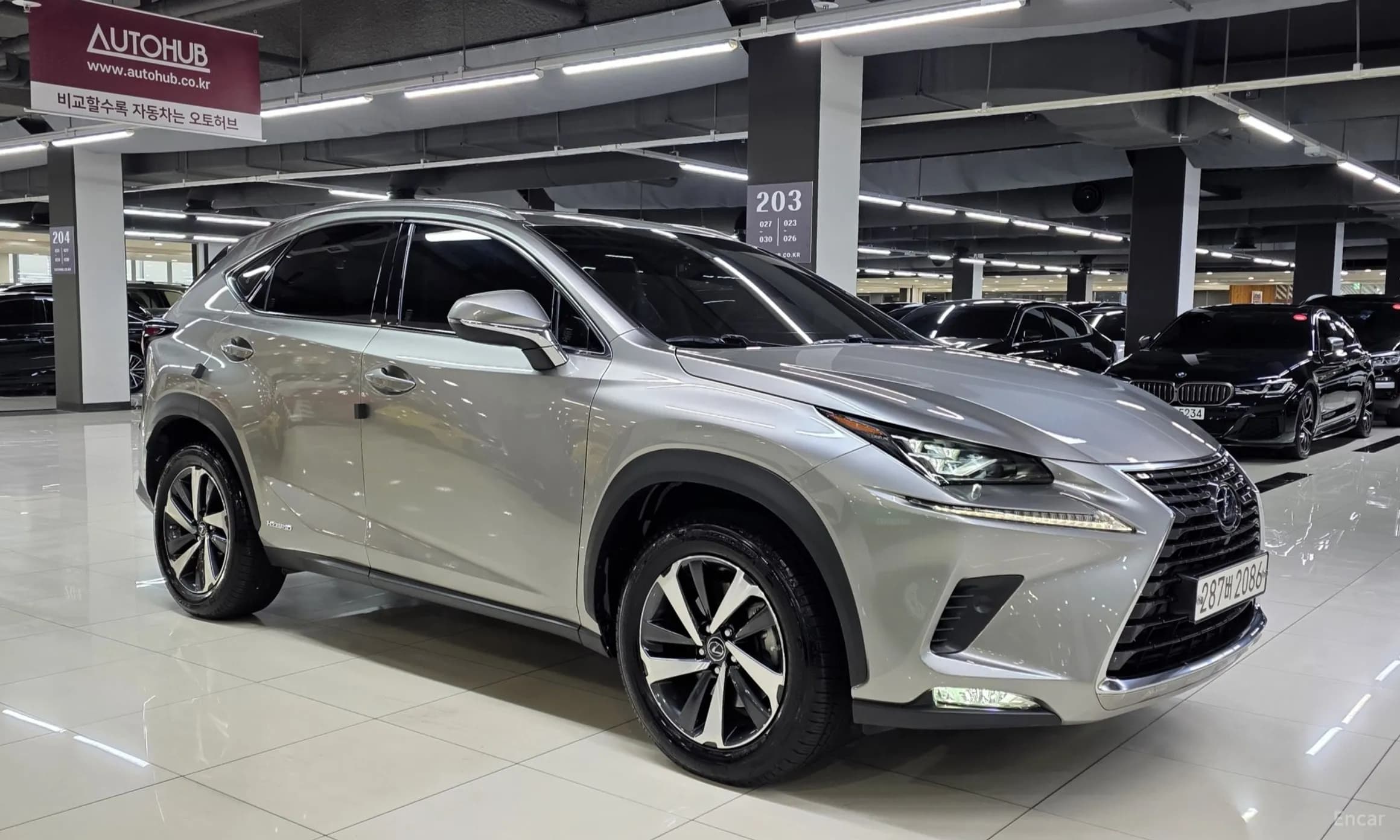 NX300h