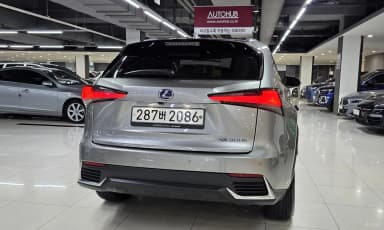 NX300h