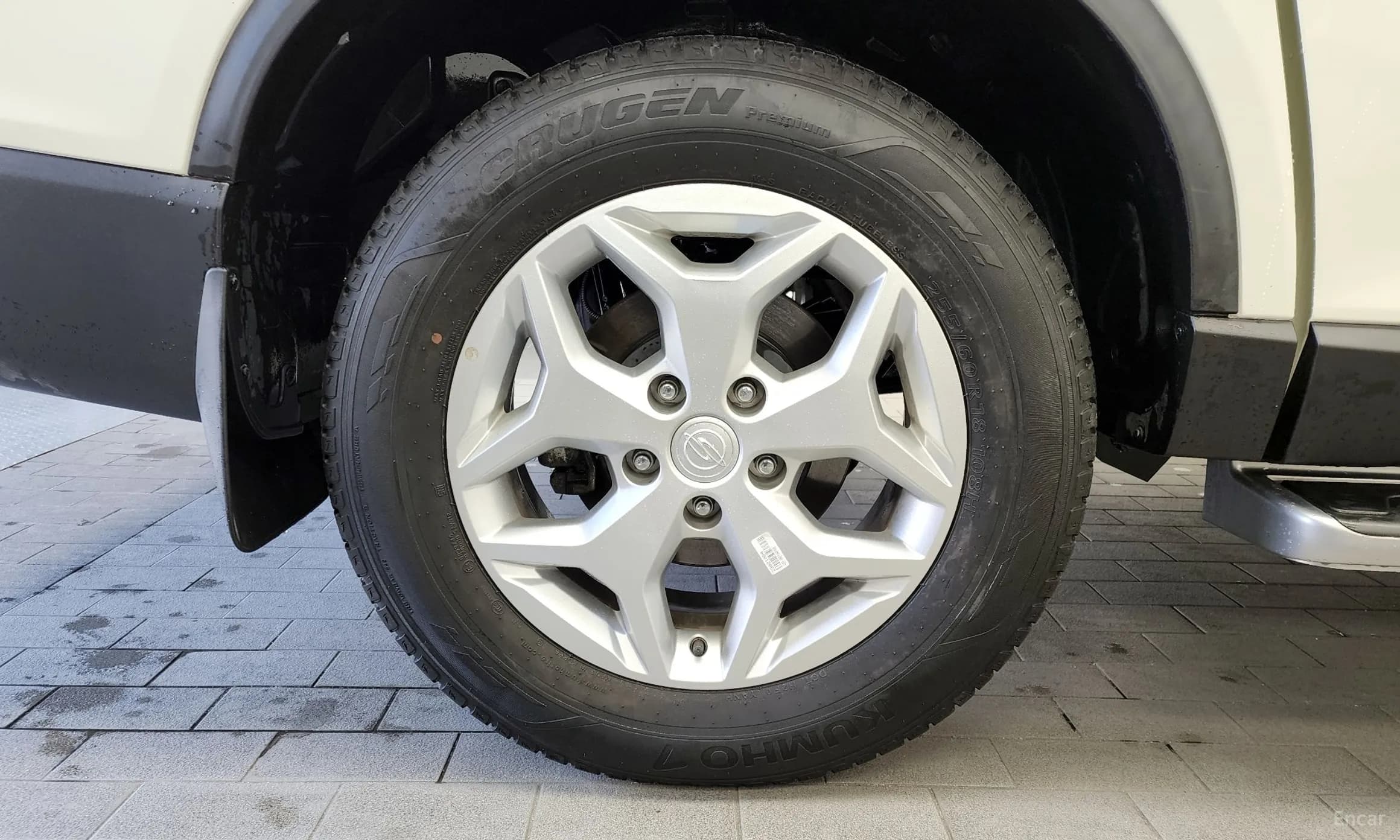 Rexton Sports