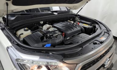 Rexton Sports