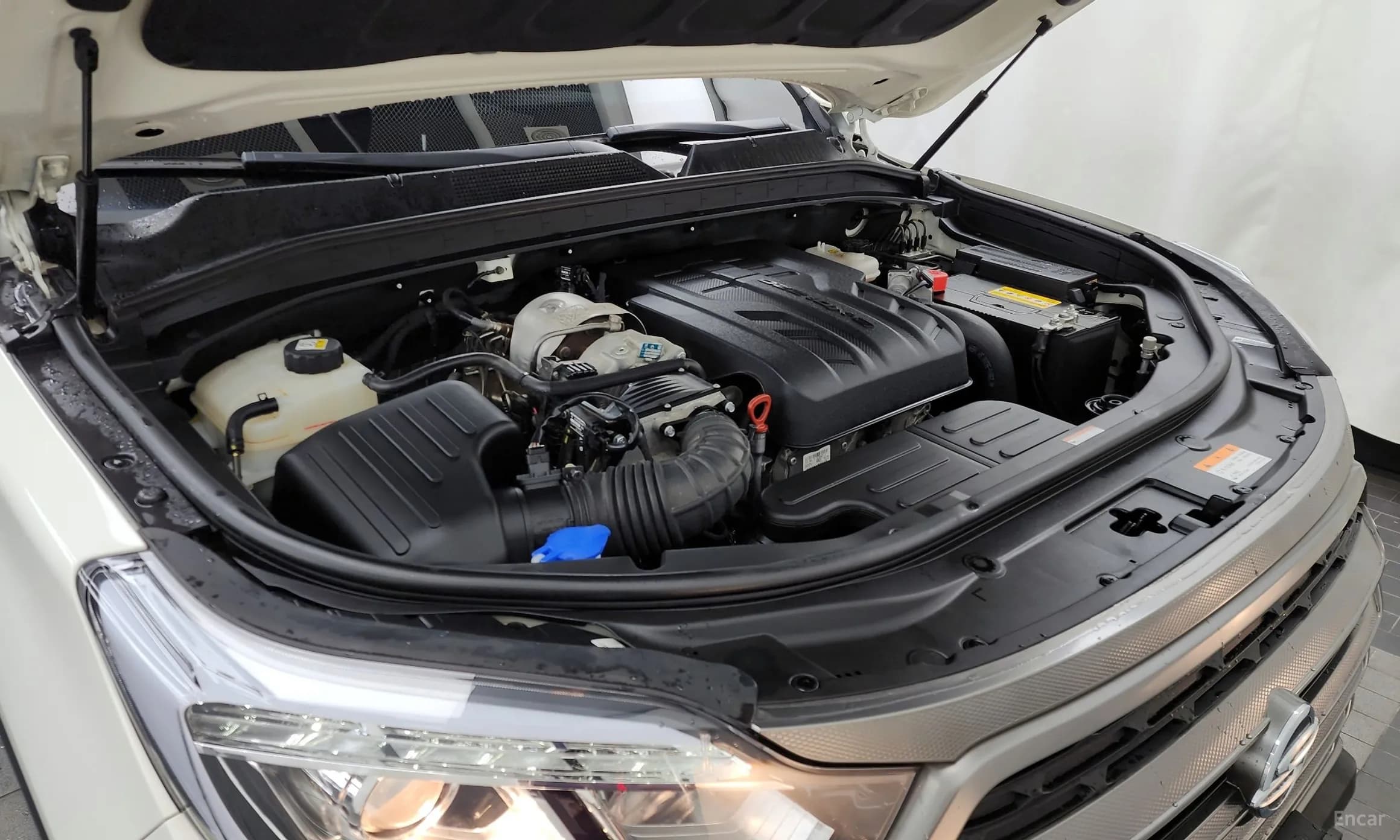Rexton Sports