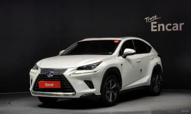 NX300h
