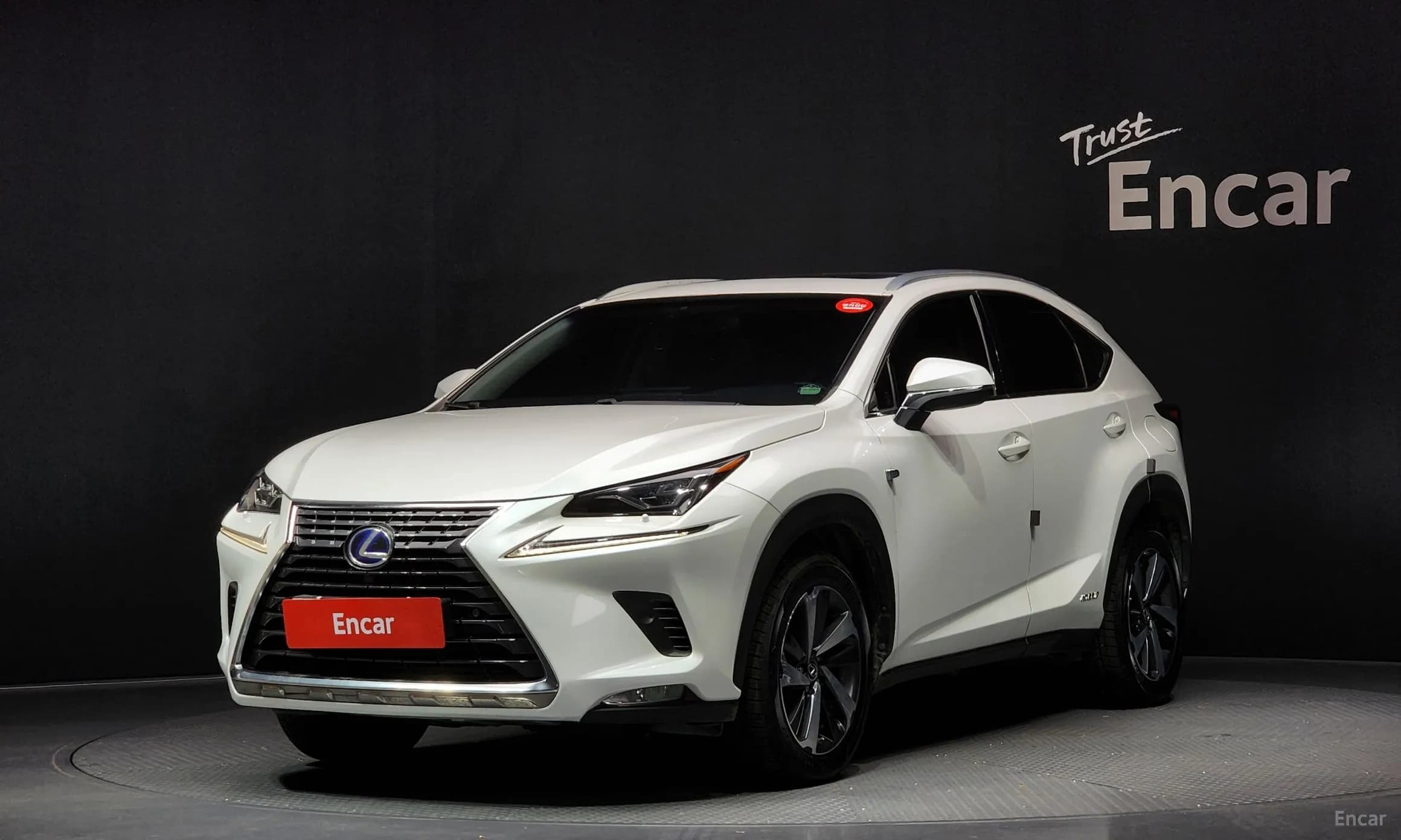 NX300h