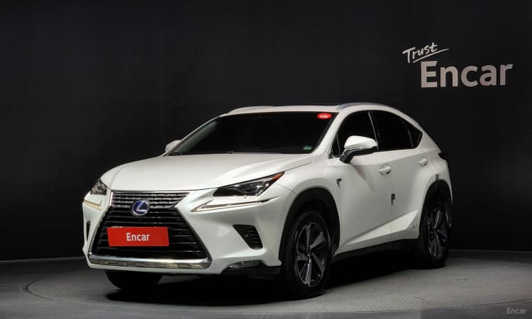 NX300h