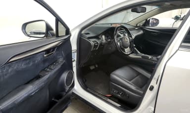 NX300h