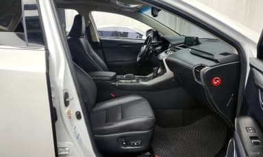 NX300h