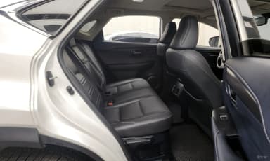 NX300h