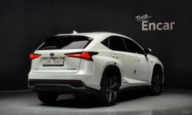 NX300h