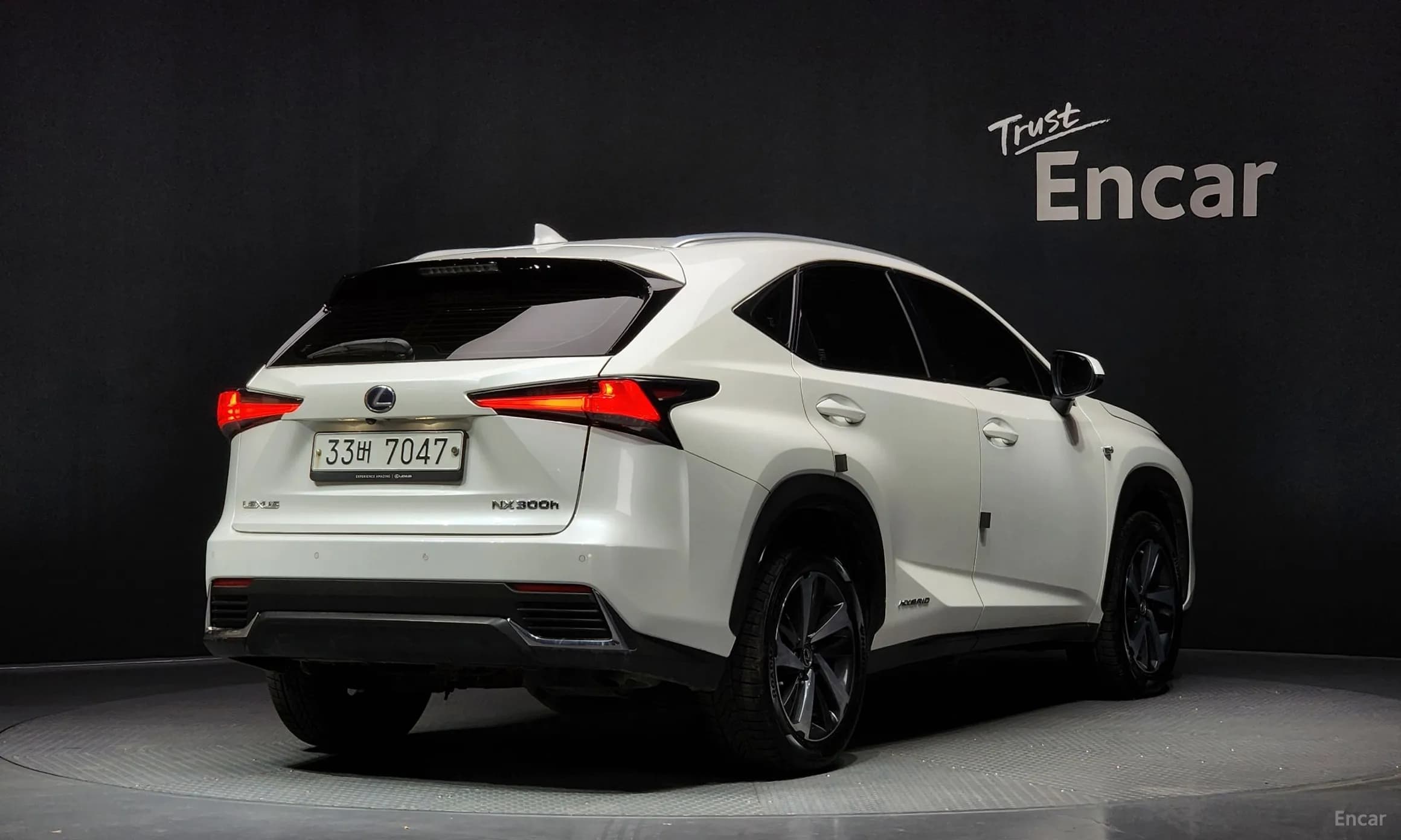 NX300h