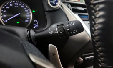 NX300h
