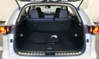 NX300h