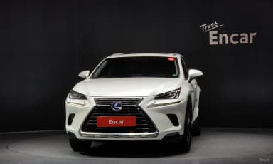 NX300h