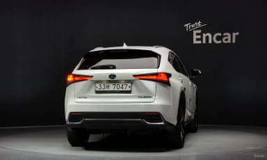 NX300h