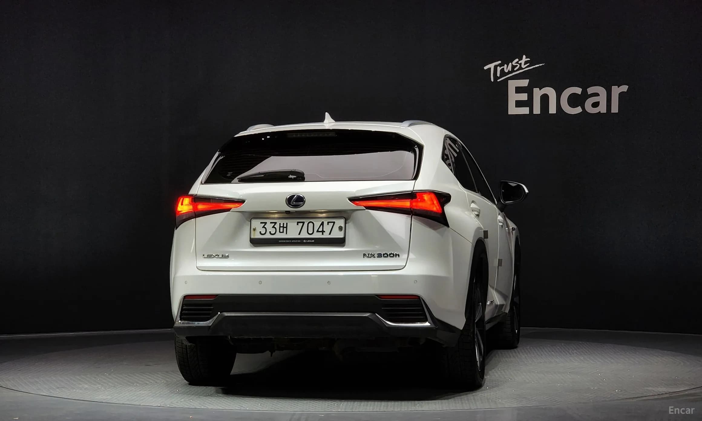 NX300h