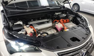 NX300h