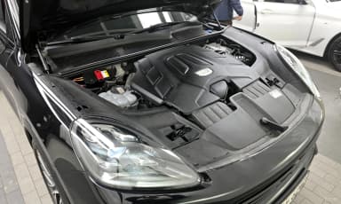 Cayenne (PO536)