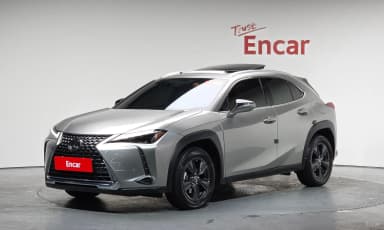 UX250h
