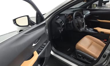 UX250h