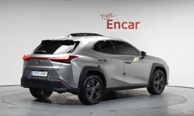 UX250h