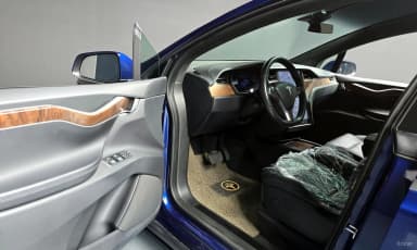 Model X