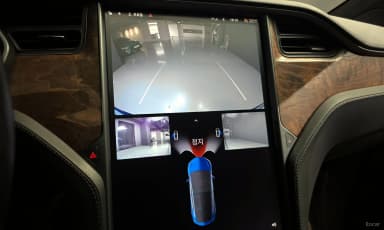 Model X