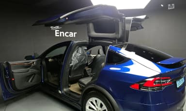 Model X