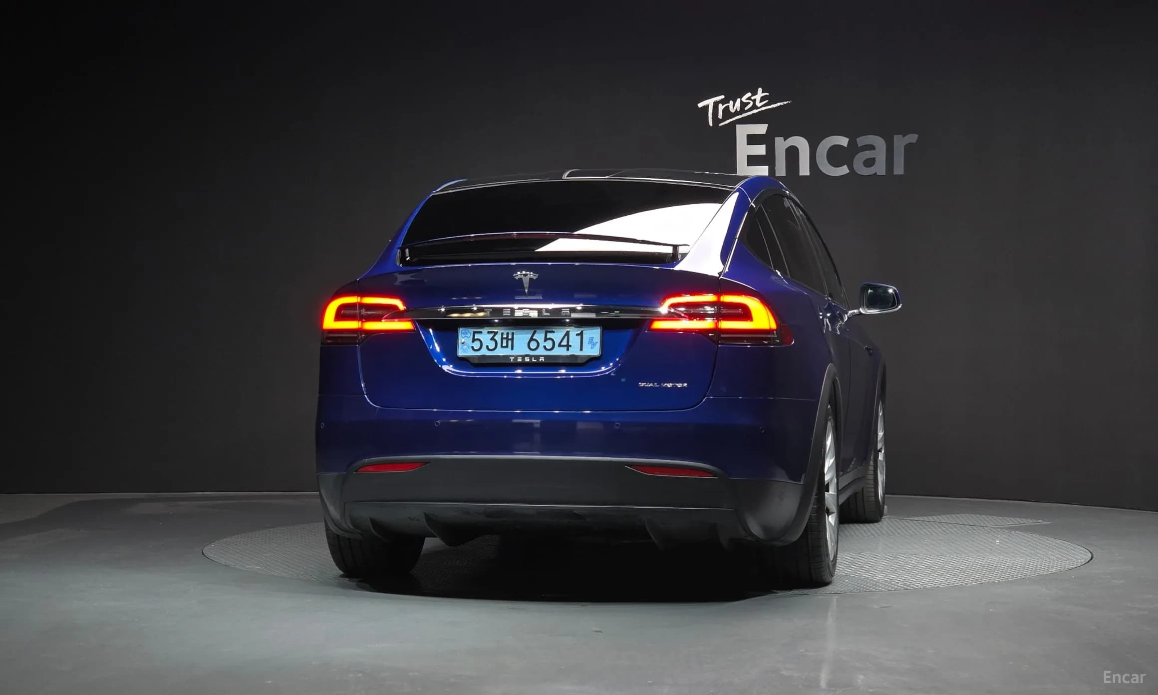 Model X