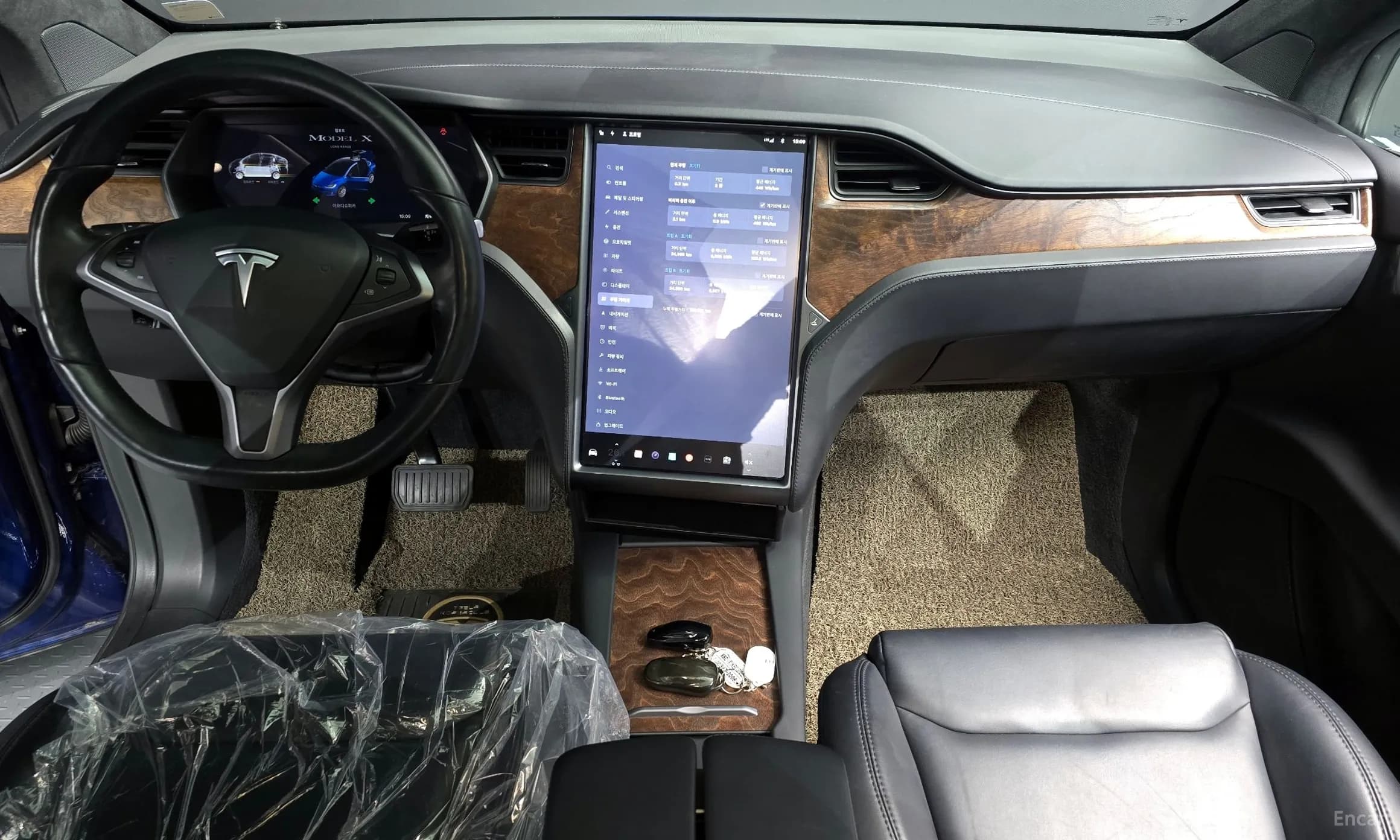 Model X