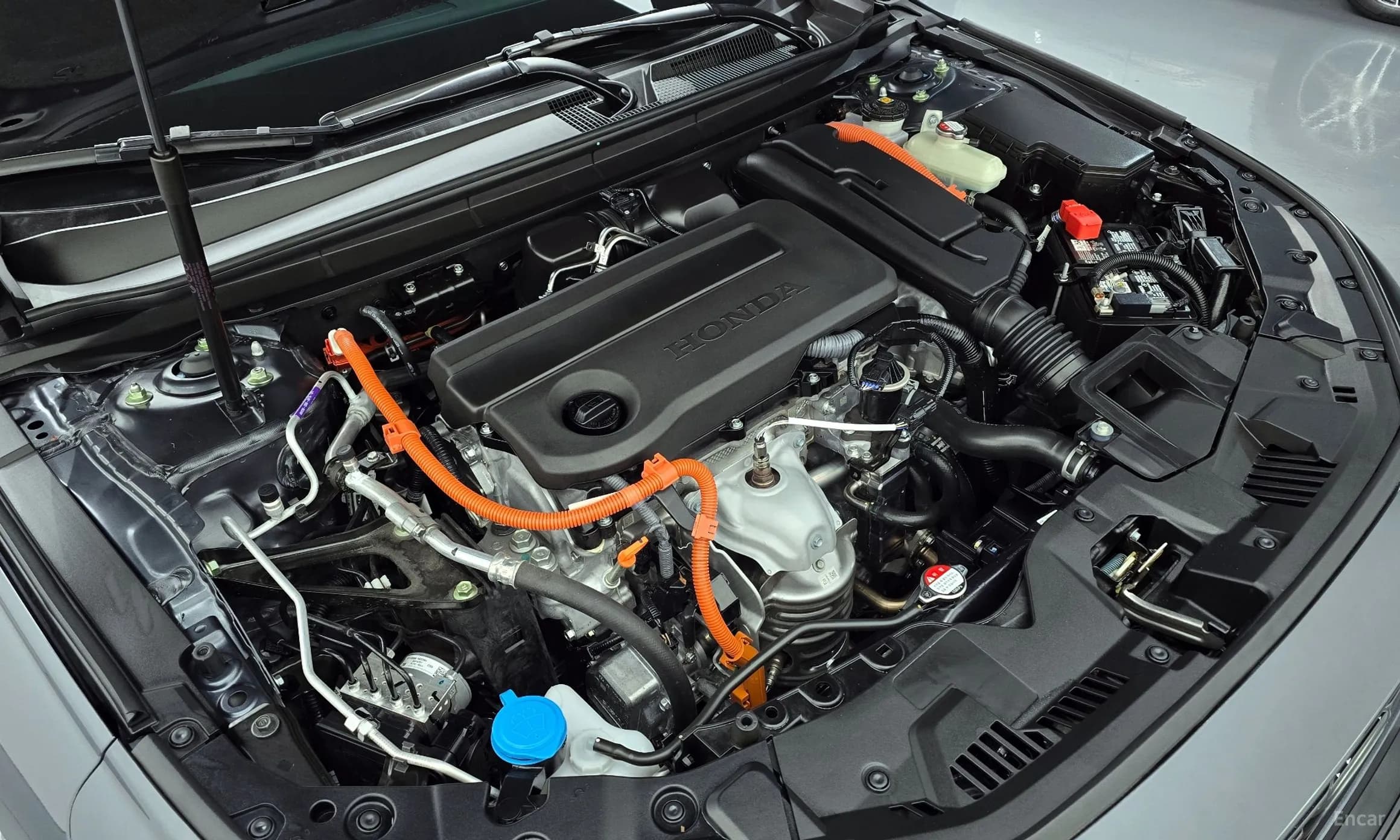 Accord 11th Generation