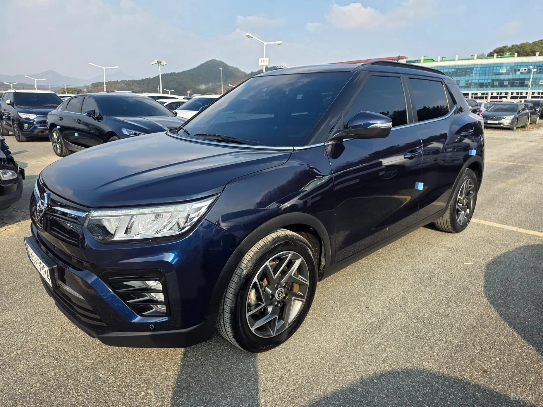 Berry New Tivoli
