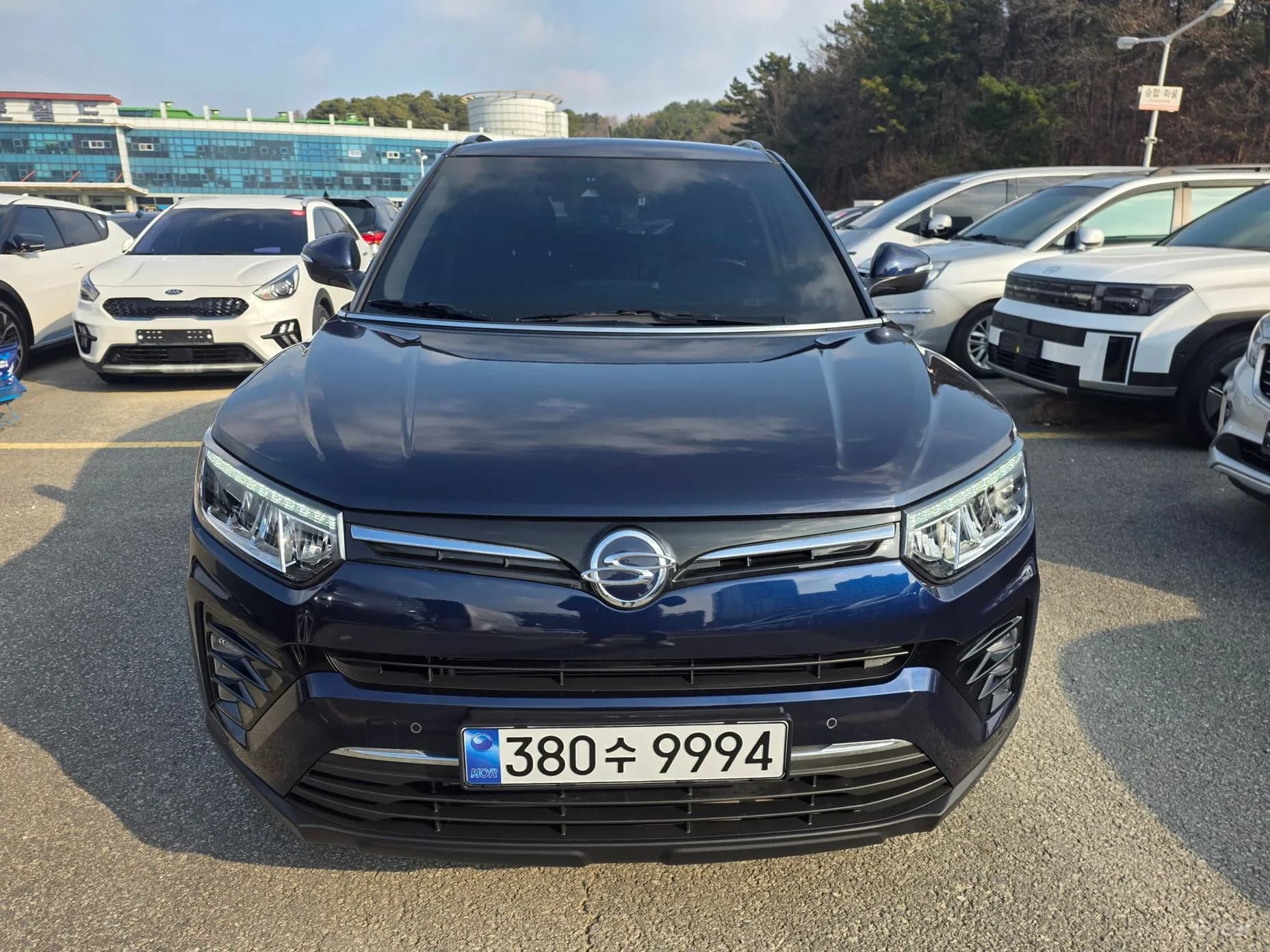 Berry New Tivoli