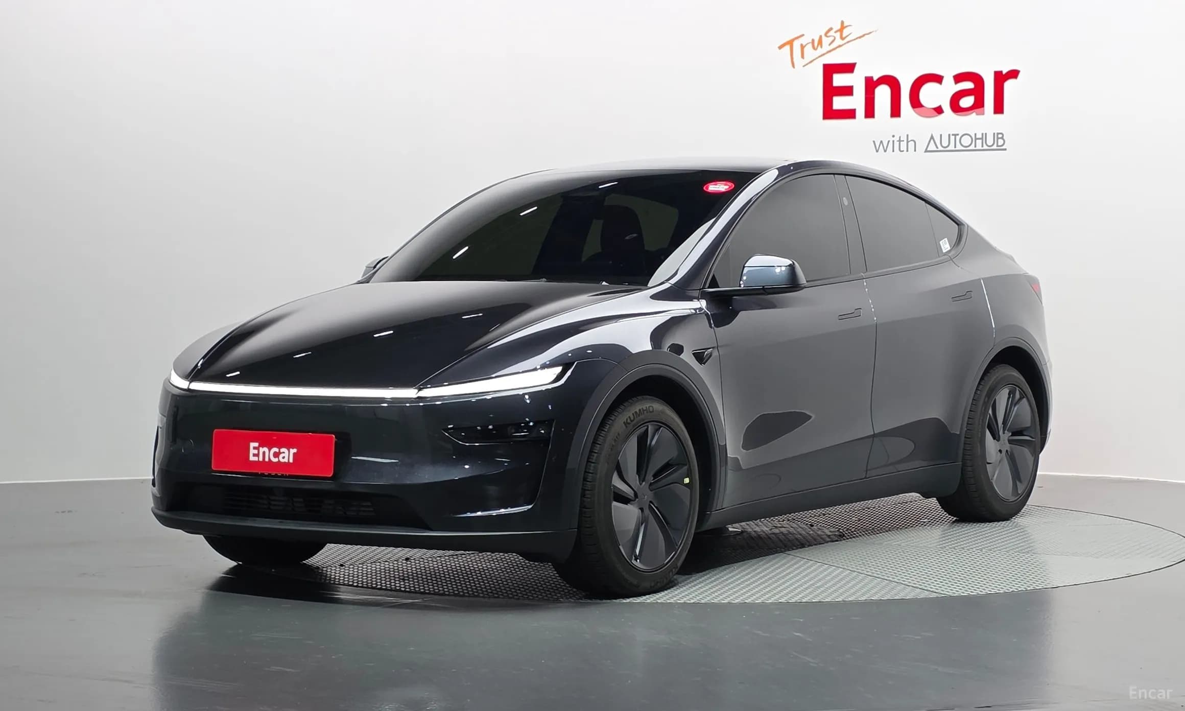 Model Y