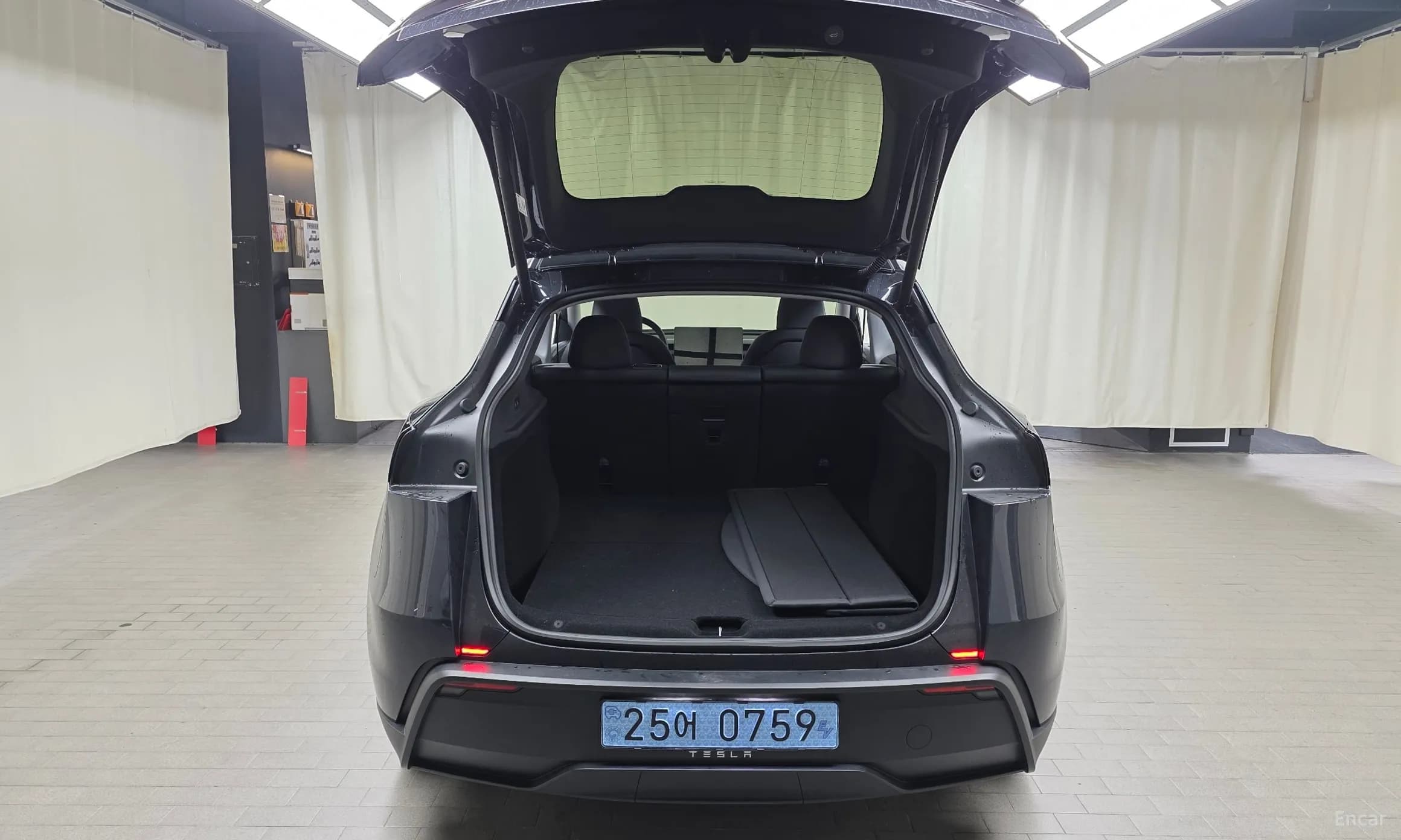 Model Y