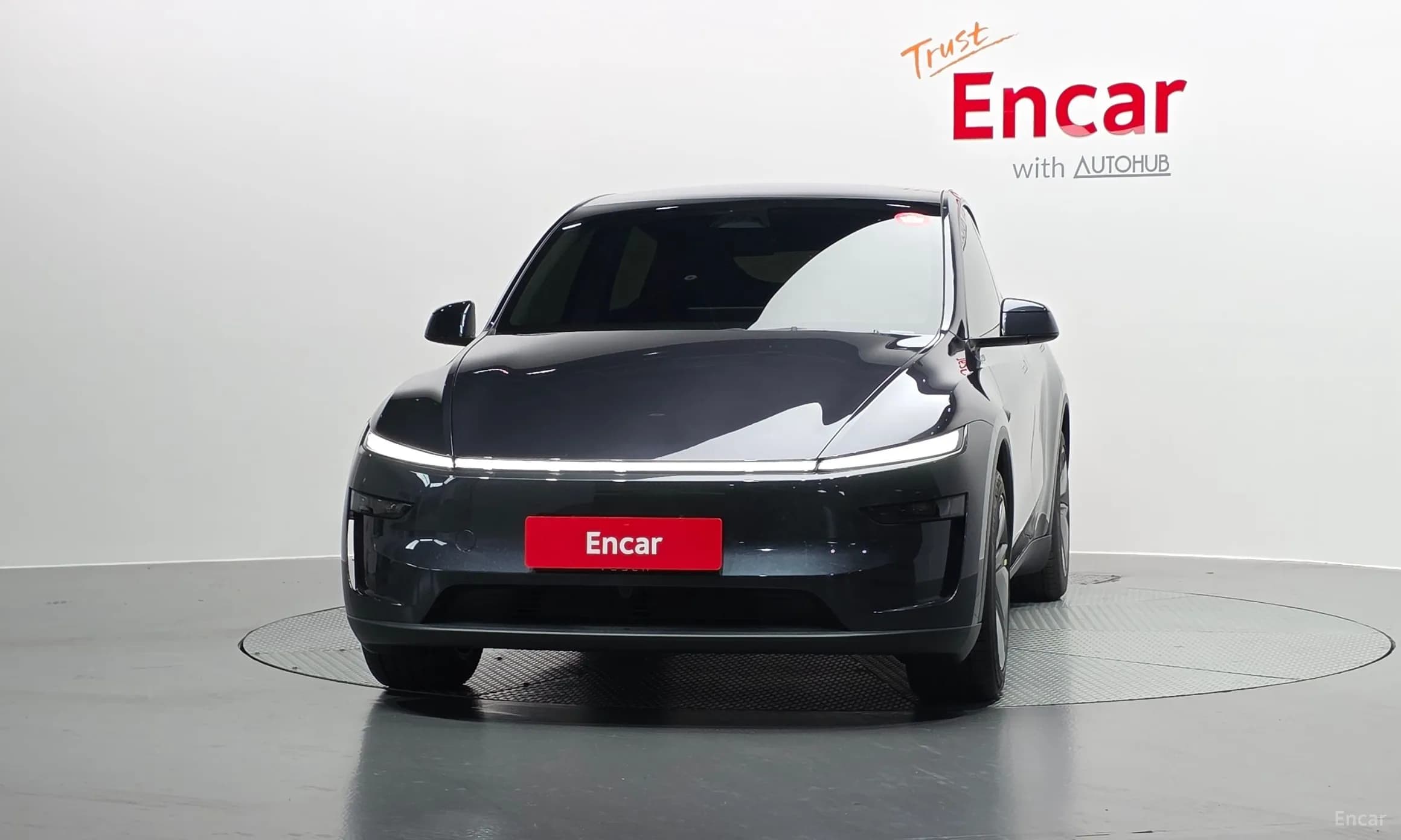 Model Y