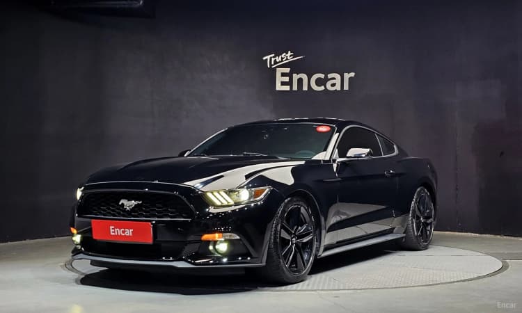 Mustang