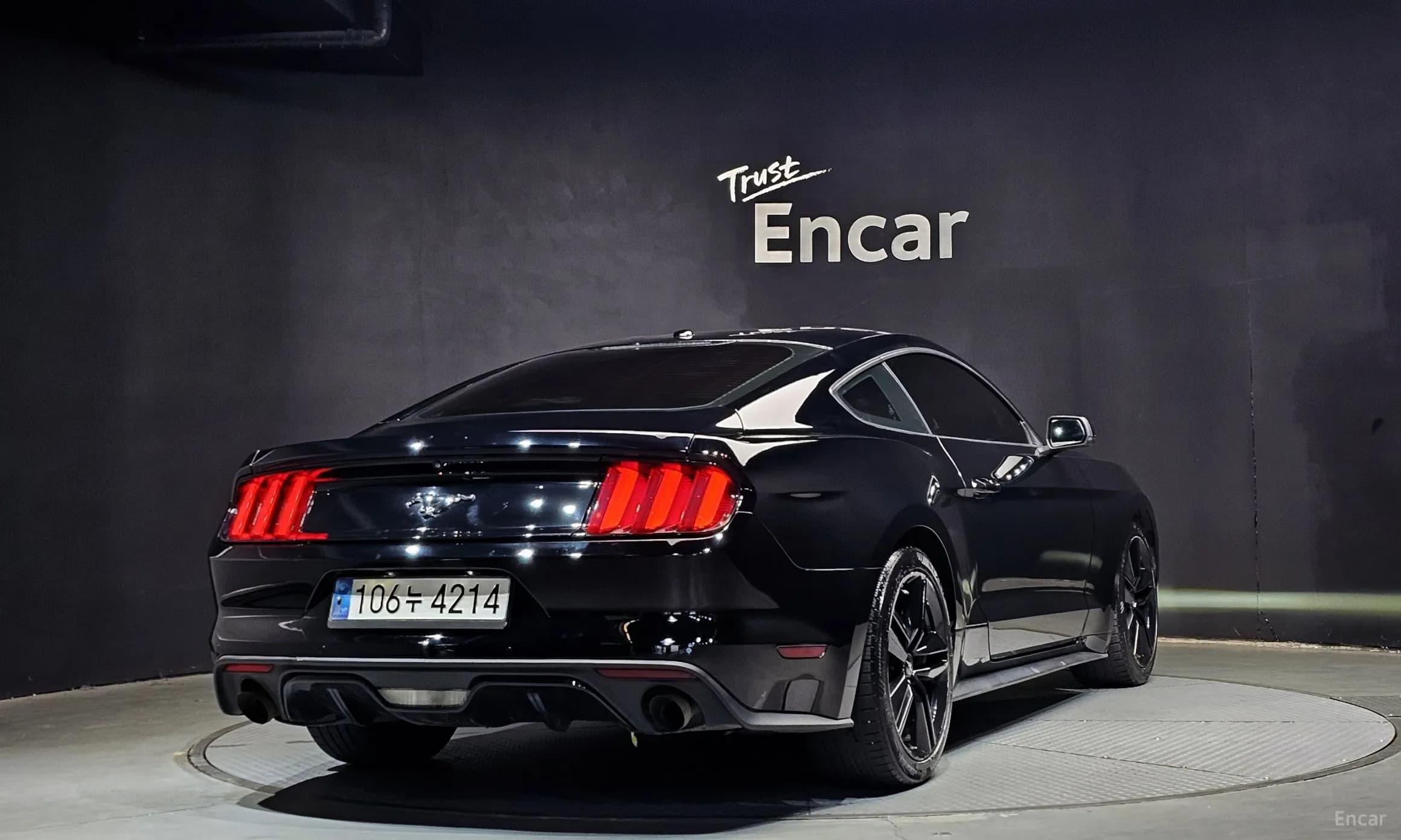 Mustang