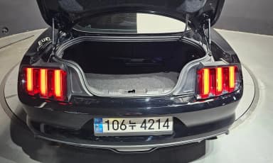 Mustang